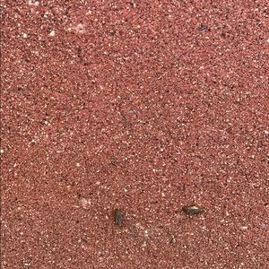 Meet your Posher, Mindy